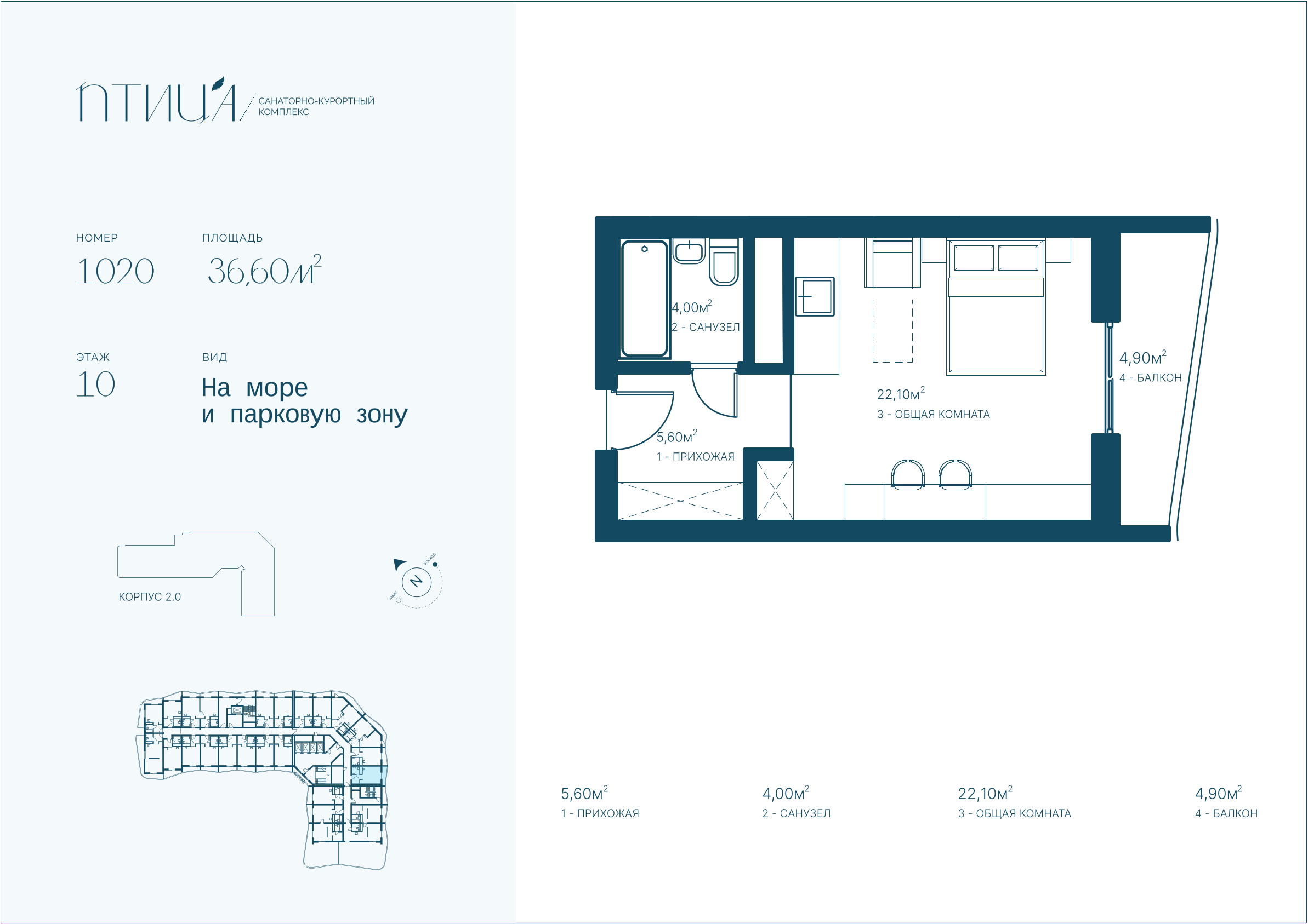 Планировка Птица 36,6 м²