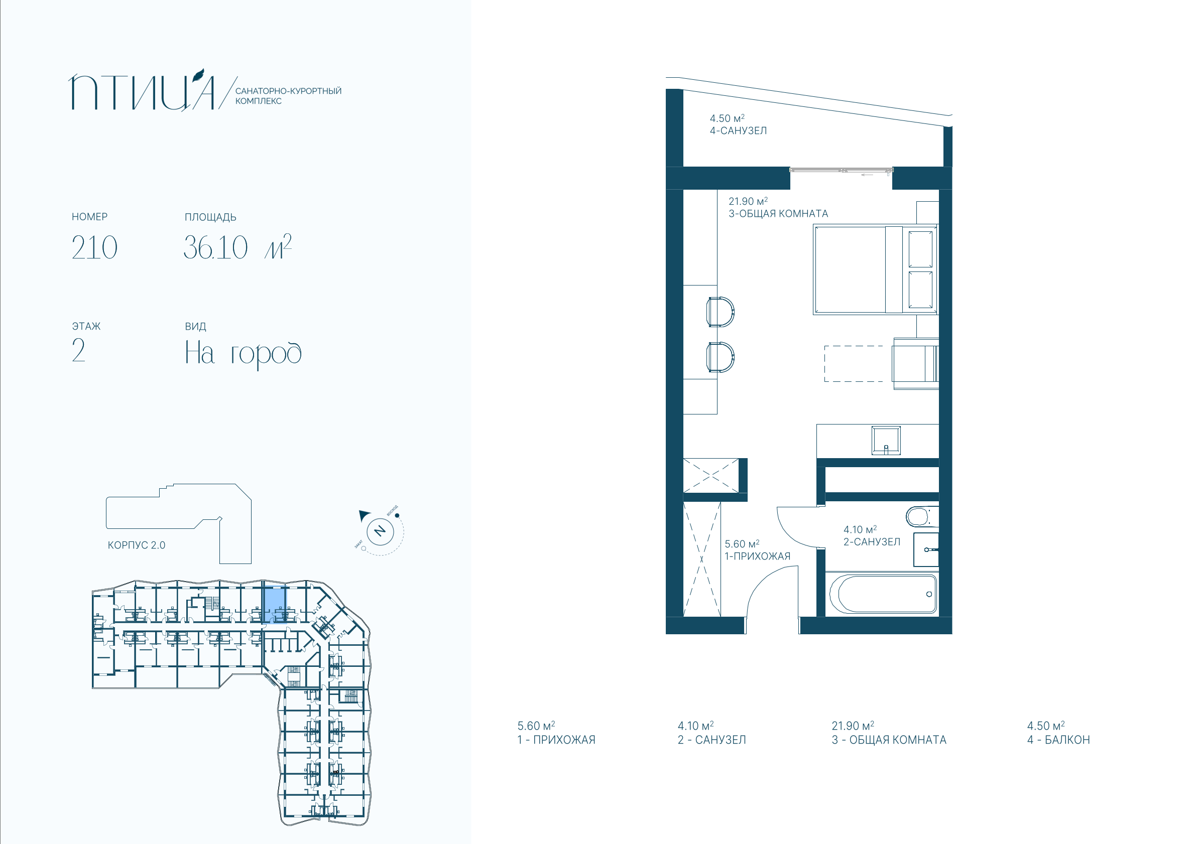Планировка Птица 36,1 м²